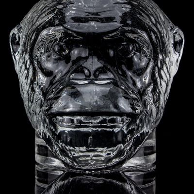 500 ml 750 ml garrafa de vidro em forma de cabeça de macaco para vodka licor com cortiça